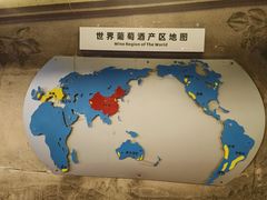 -青岛葡萄酒博物馆