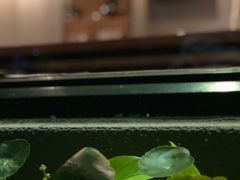 -转山咖啡(松柏社区店)