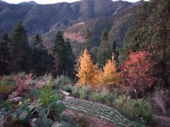 -塔川景区
