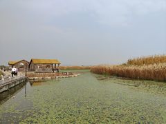 -宁波杭州湾国家湿地公园