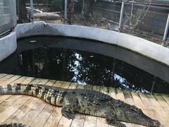 -呀路古热带植物园