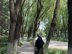 -沈阳市东陵公园