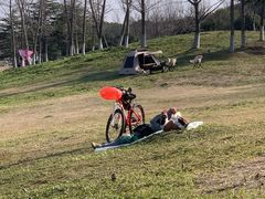 -滆湖低碳生态公园