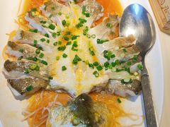 -陶陶居酒家(新天地店)