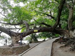 -抚仙湖禄充风景区
