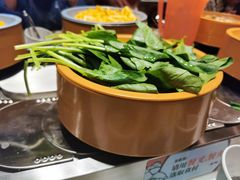-龍歌自助小火锅(李沧顺和汇店)