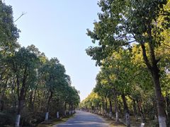 -上海海湾国家森林公园