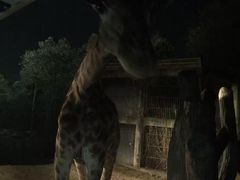 -清迈夜间动物园