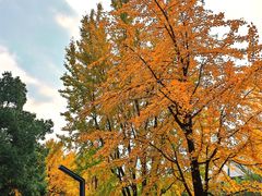 -苏州河梦清园环保主题公园