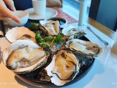 -蚝大仙横琴生蚝火锅(日月贝店)