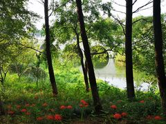 -苏州太湖国际会议中心