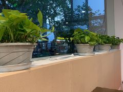 -兰边碗(鼓楼店)