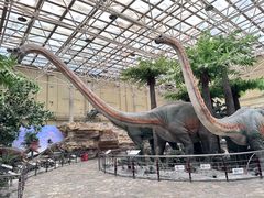 -国家自然博物馆