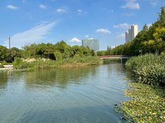 -南翔镇银翔湖公园