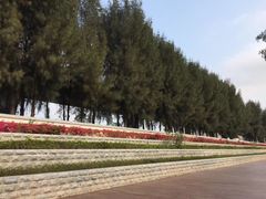 -宝安西湾红树林湿地公园