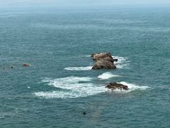 -小麦岛公园