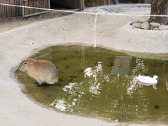 -无锡动物园·太湖欢乐园