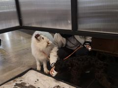 -VESH COFFEE(定西路店)