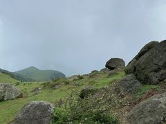 -大姆山草场