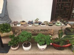 -曾福兴