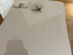 -手佳按摩·足疗·艾灸(博物院中山陵店)