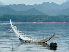 -月光岛(五龙岛)