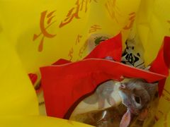 -双流兔头(成都金丝街总店)