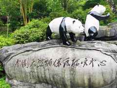 -都江堰中华大熊猫苑