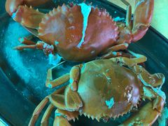 -南沙十九涌渔人码头-南门