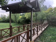 -杨柳青庄园