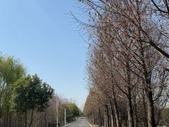 -双山岛