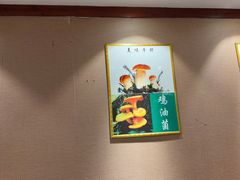 -菌之家·专业纯野生菌火锅·特色炒菌