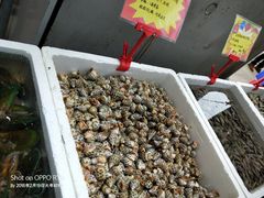 -蚝专家(北滘店)