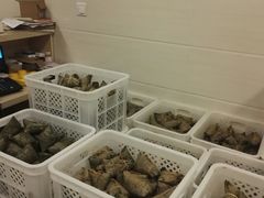 水产区-璐坊粽王(复兴中路店)