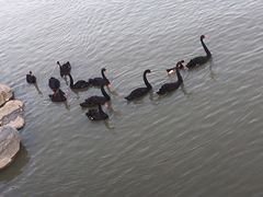 -天津东丽湖风景区