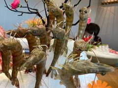 -尚海豆捞(乐虹坊店)