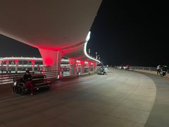 -演武大桥观景平台