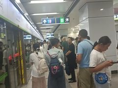 -白石桥南(地铁站)