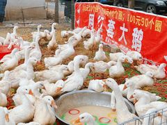 -辛庄国际文化艺术区