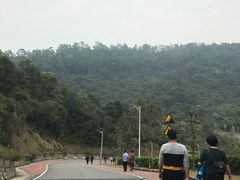 -火炉山森林公园