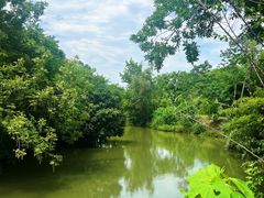 -西溪国家湿地公园