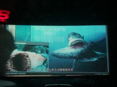 -枫花园汽车电影院(朝阳公园店)