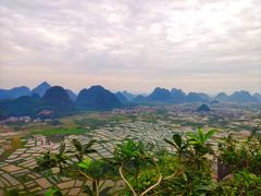 -会仙湿地