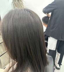 -YESIDO椰岛造型