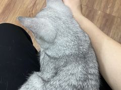 -荔康动物医院(康王北路店)