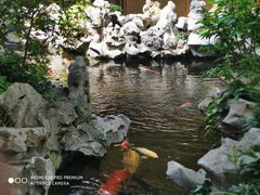 -鲤院·新中式美学·庭院餐厅(夫子庙店)