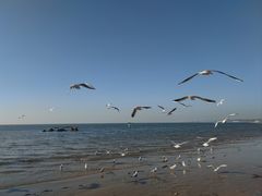 -老虎石海上公园