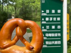 -南京老山国家森林公园