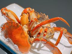 -鑫悦楼煎蟹·16年海鲜大排档