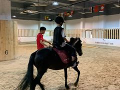 -李振强马术运动推广中心(南城店)